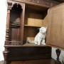 kot brytyjski liliowy - Garry Cooper w nowym domu