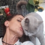 kot brytyjski liliowy - Garry Cooper w nowym domu - selfie z Pańcią