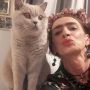 kot brytyjski liliowy - Garry Cooper w nowym domu - selfie z Pańcią - Andrzejki 2018