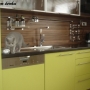 koty-brytyjskie- Jessi of Amazing Aisha*PL - w nowym domku
