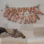 koty brytyjskie liliowe KANYE WEST  AmazingAisha*PL  - foto: nowy dom  mamy 4 latka
